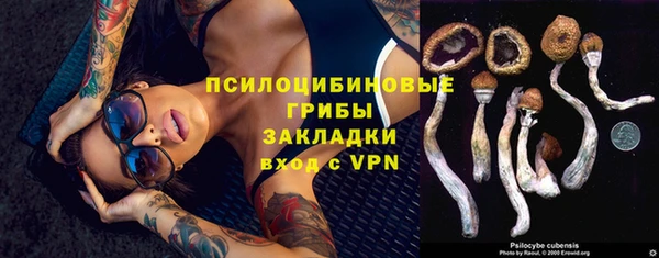 первитин Приозерск