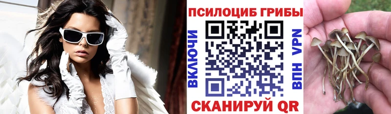 ОМГ ОМГ ссылка  Новоузенск  Галлюциногенные грибы мицелий 